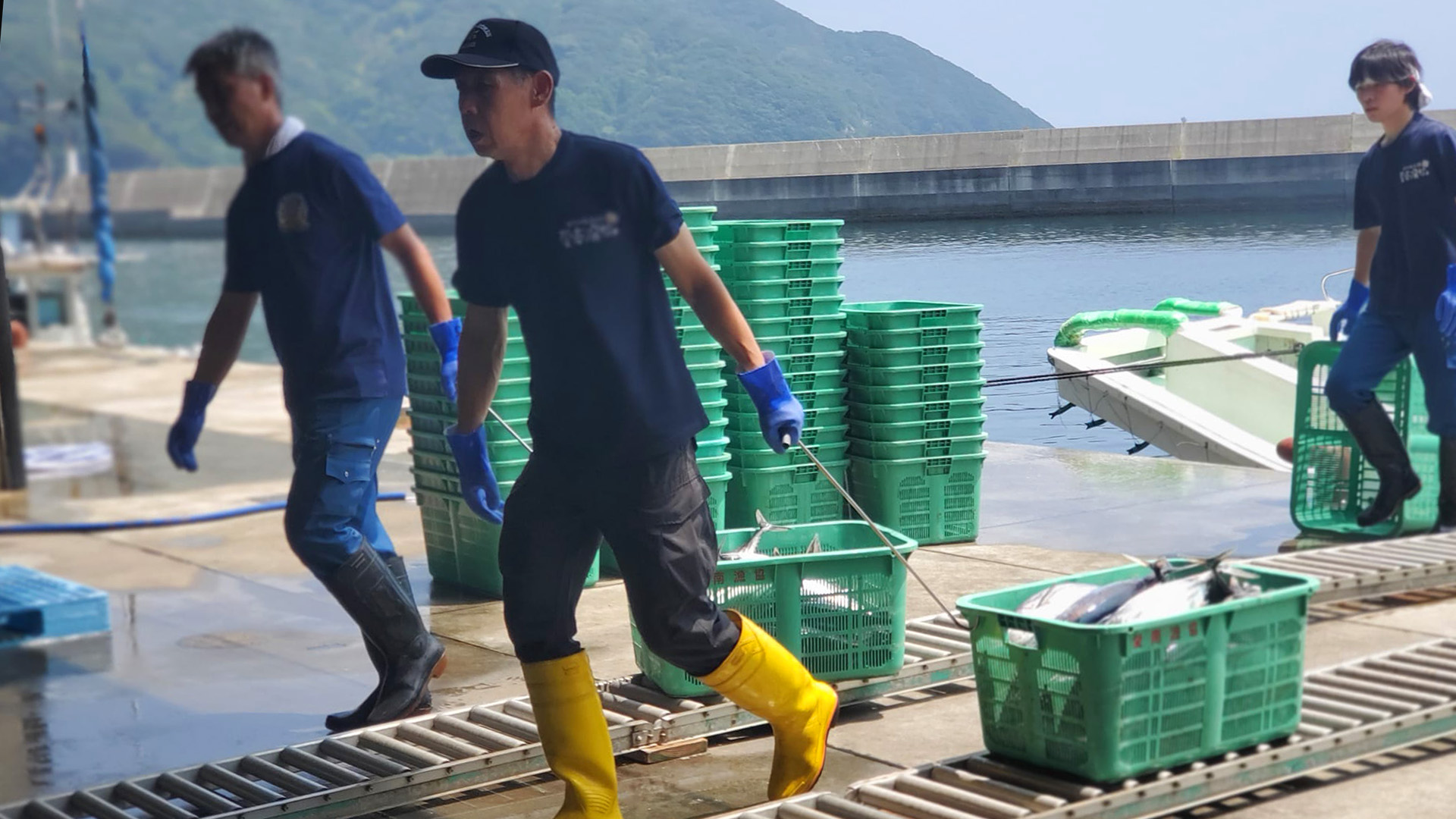Fisheries